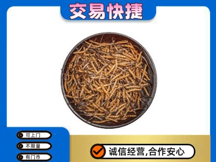 重庆合川区高价回收散虫草